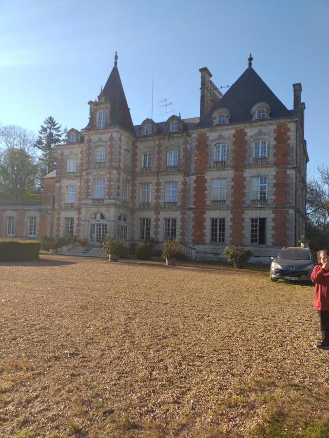 Chateau De Rocheux Freteval Esterno foto